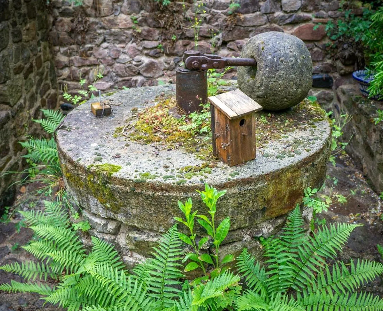 Moulin Du Bateau - Gite De Charme - Piscine - Nature Leotoing